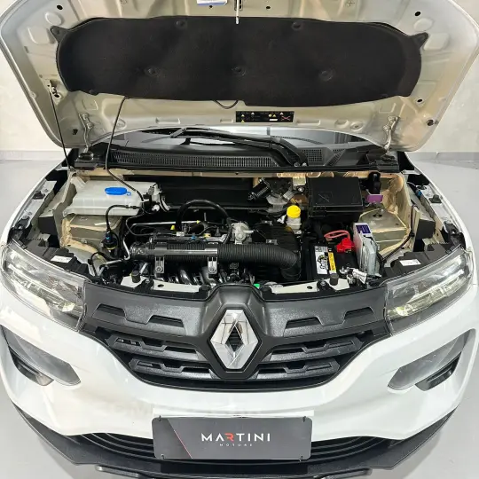 Kwid KWID Zen 1.0 Flex 12V 5p Mec.