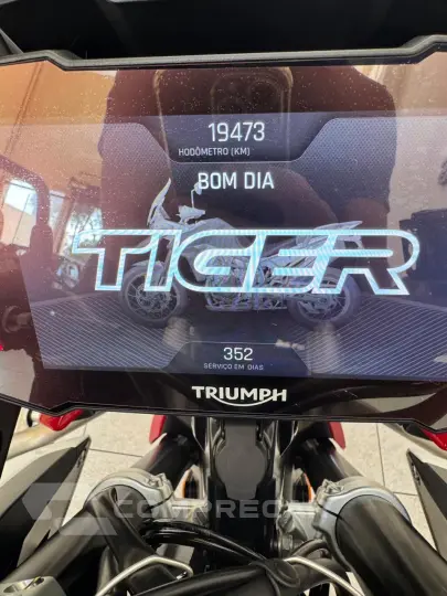 Tiger 900 GT N/D