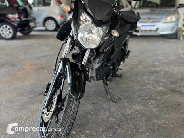 YS 150 FAZER SED - Street