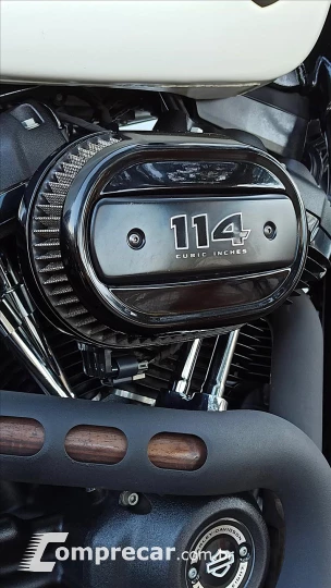 SOFTAIL FAT BOB 114