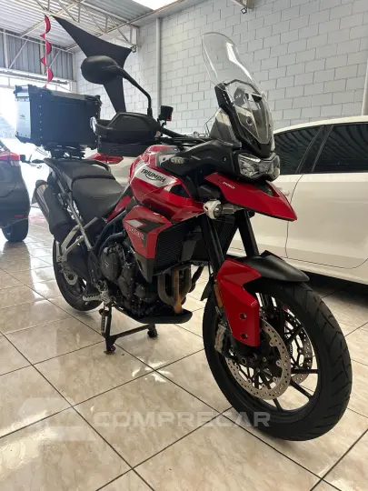 Tiger 900 Gt Pro
