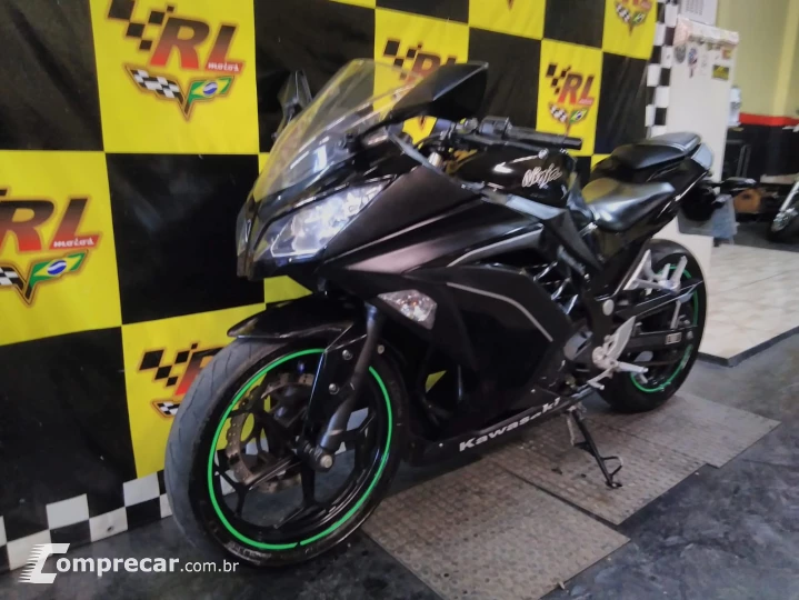 Ninja 300
