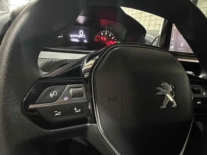 208 1.0 FIREFLY FLEX LIKE MANUAL