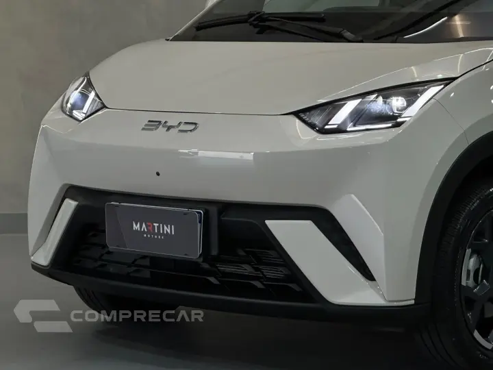 Dolphin EV GS (Elétrico)
