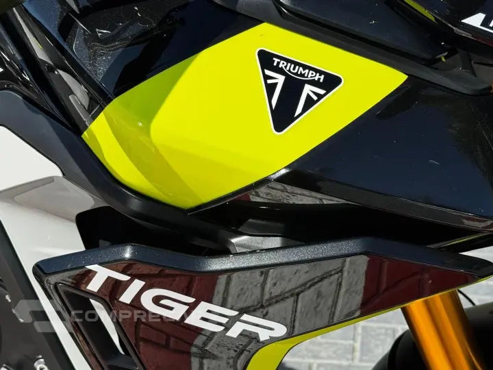 TIGER 900 RALLY PRO