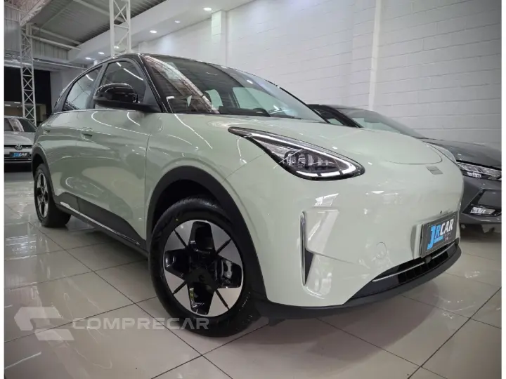 EX2 39,4 KW ELÉTRICO MAX