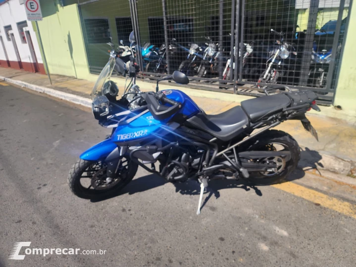 tiger xrx