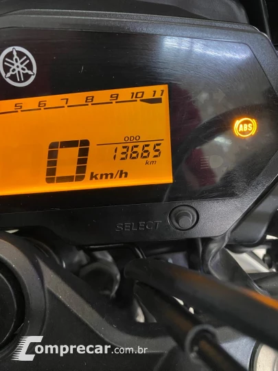 FZ 25 FAZER 250