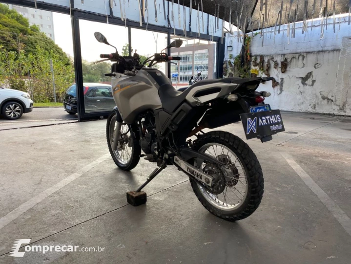 XTZ 250 TENERE/TENERE BLUEFLEX