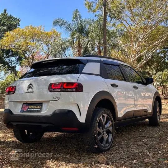 C4 CACTUS FEEL AT
