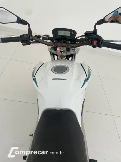 FAZER YS 250 BUEFLEX