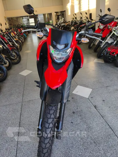 XTZ 250 LANDER 249cc/LANDER BLUEFLEX/ABS