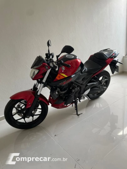 MT 03
