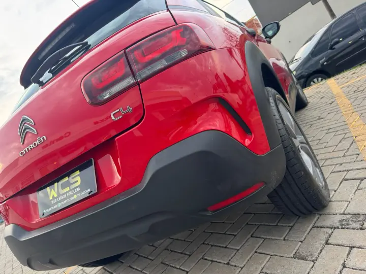 C4 Cactus Feel AT