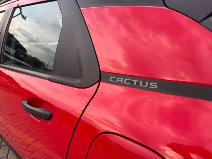 C4 Cactus Feel AT