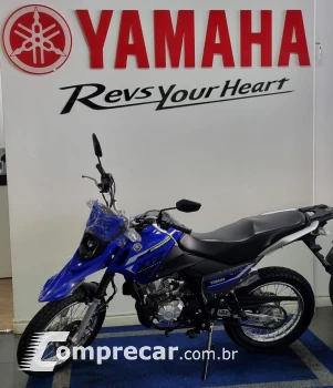 CROSSER Z