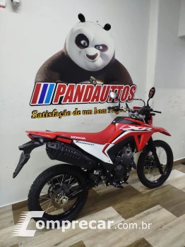 XR 300L 50 cc
