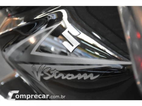 DL 650 V STROM - Touring