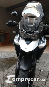 Tiger 900 GT