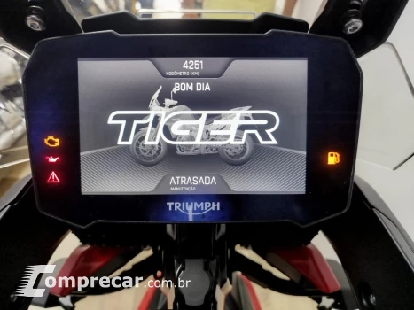 Tiger 900 GT ARAGÓN