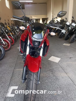 FZ25 250 FAZER FLEX