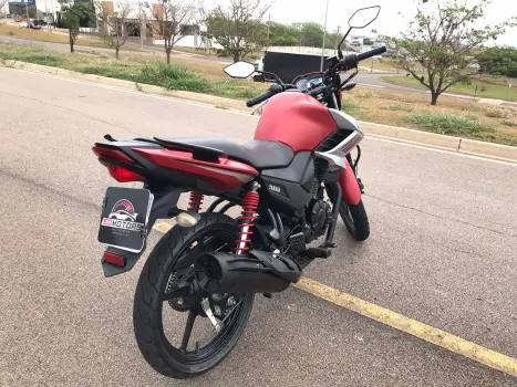 YS150 FAZER SED