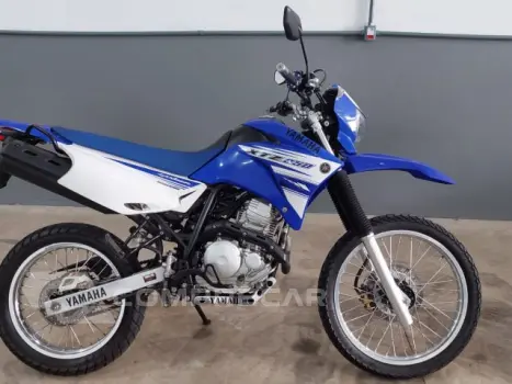 XTZ 250 LANDER - Trail
