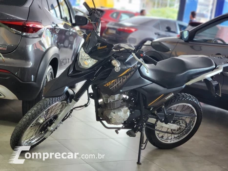 XTZ XTZ 150 CROSSER Z FLEX