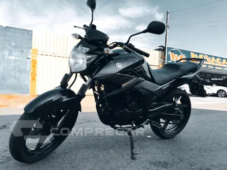 FAZER 250 BLUEFLEX