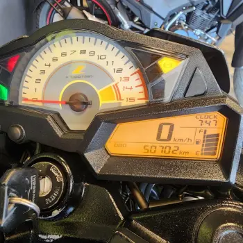 Z 300