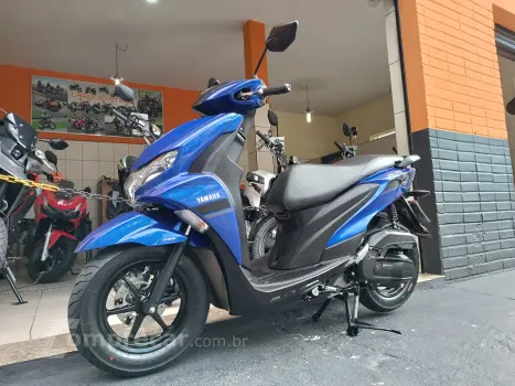 FLUO 125