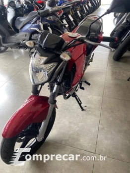 YS 250 FAZER