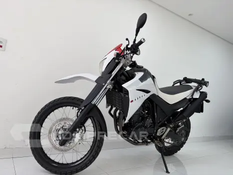 Xt