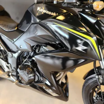 Z 300