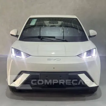 Dolphin Mini (Elétrico)