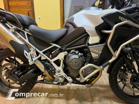Tiger 1200 GT Explorer