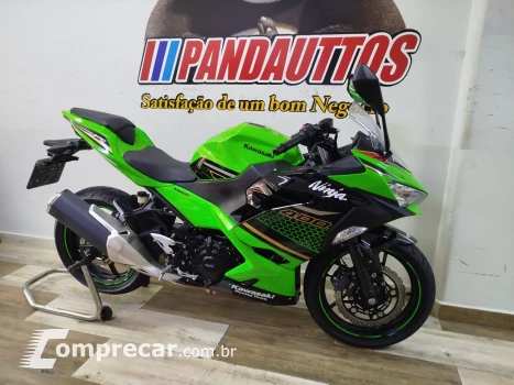 Ninja 300 cc