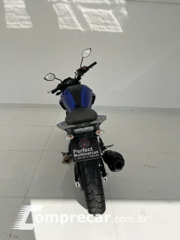 FZ250 FAZER