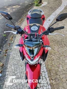 FZ 25 FAZER 250