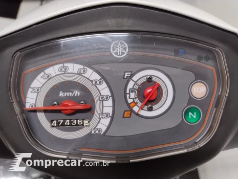 Crypton T115 ED