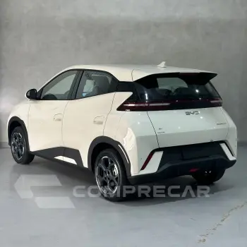 Dolphin Mini (Elétrico)