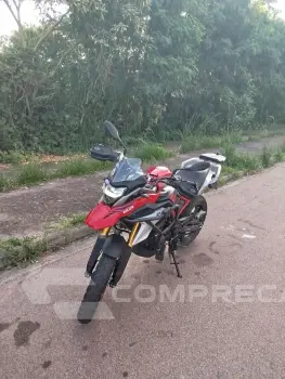 GS 310