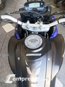 XTZ 250 TENERE/TENERE BLUEFLEX