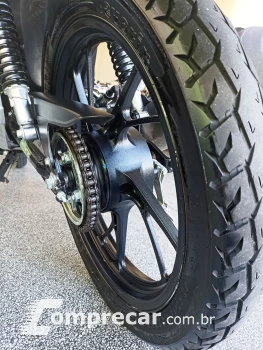 CG 160 FAN Flex