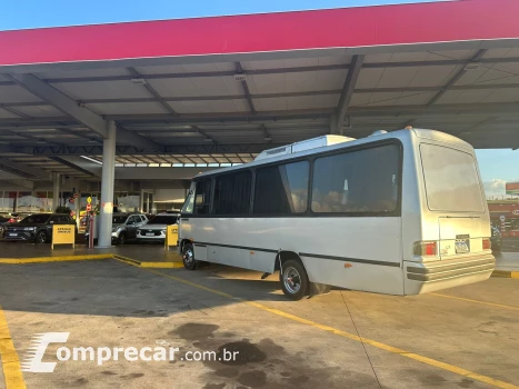MICROÔNIBUS Versão Única