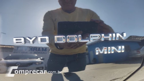 Dolphin Minn