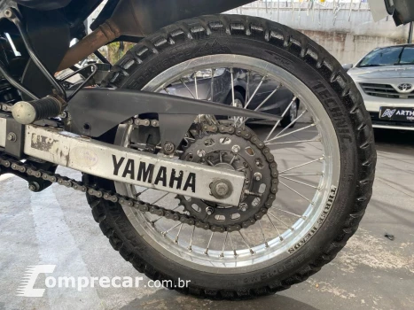 XTZ 250 TENERE/TENERE BLUEFLEX