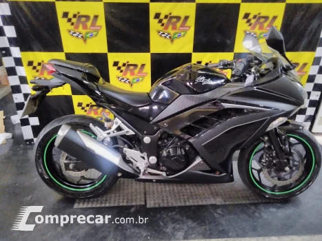Ninja 300