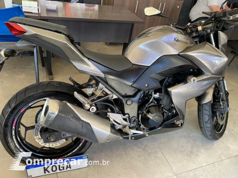 Z300