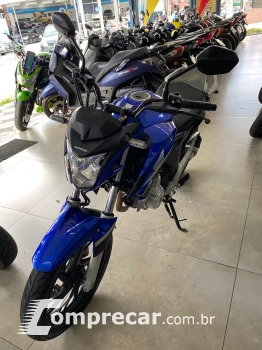 CB 250F TWISTER